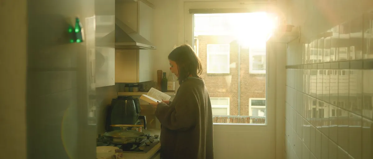 Morning sunlight coming through a kitchen window.